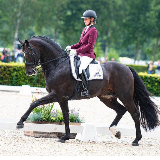 Tävlingsjacka - Burgundy