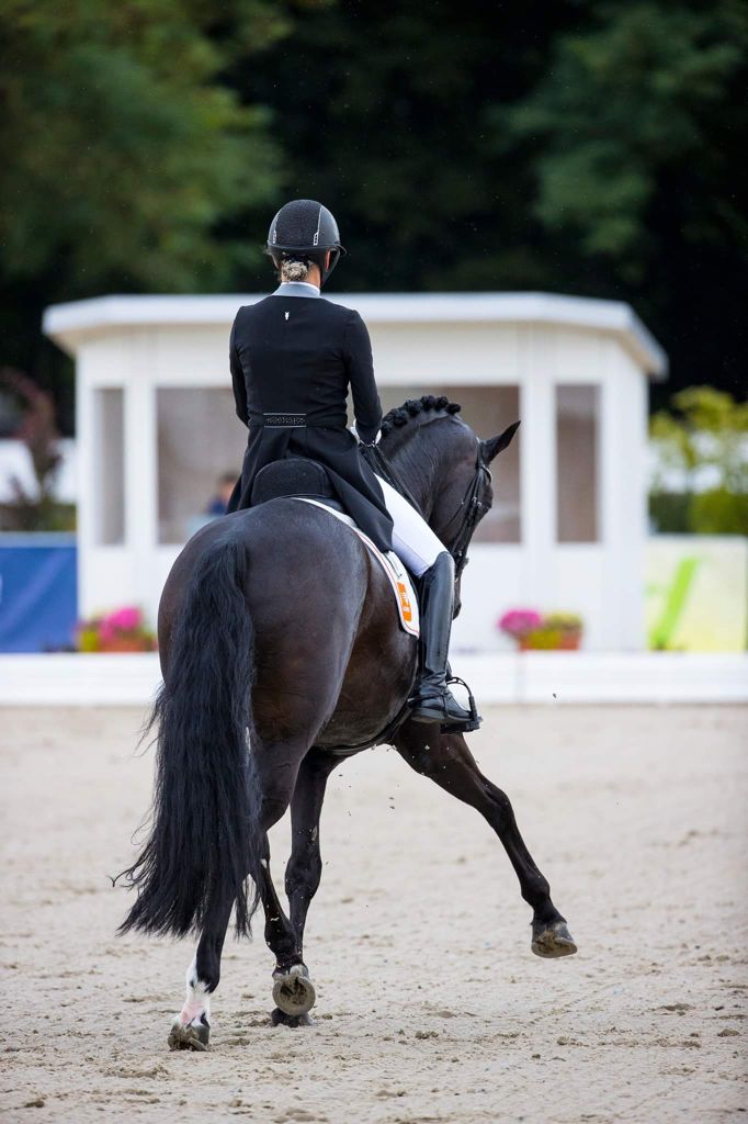Model riding a trot half-pass viewed from the back in the JuulC Black Light Grey Shadbelly with Swarovski design on the back strap